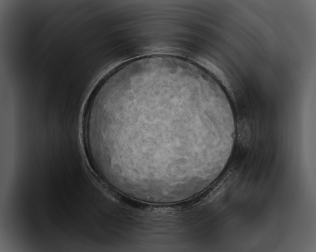 X0000095681043200801291153