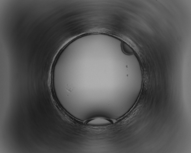 X0000095681044200801291153