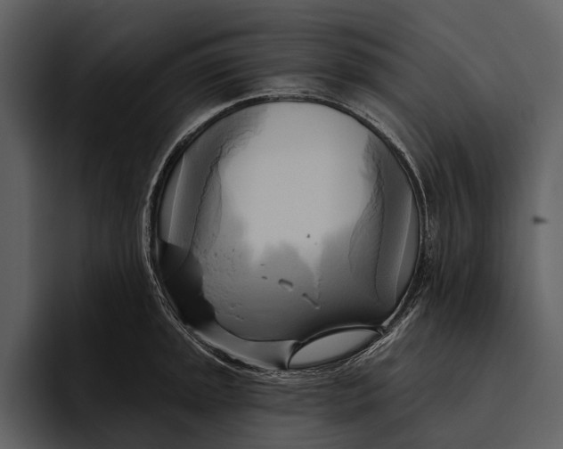 X0000095681045200801291153