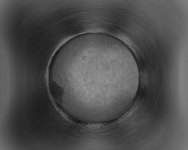 X0000095681046200801291153