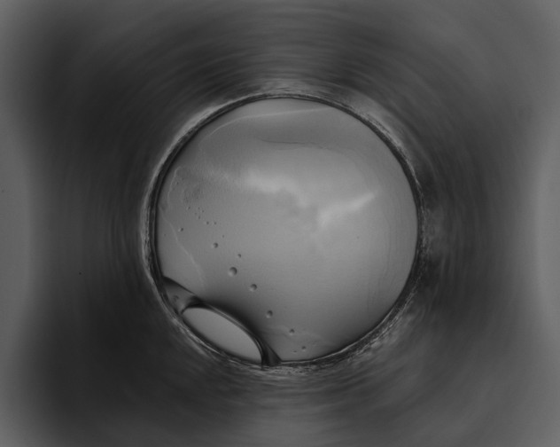 X0000095681048200801291153