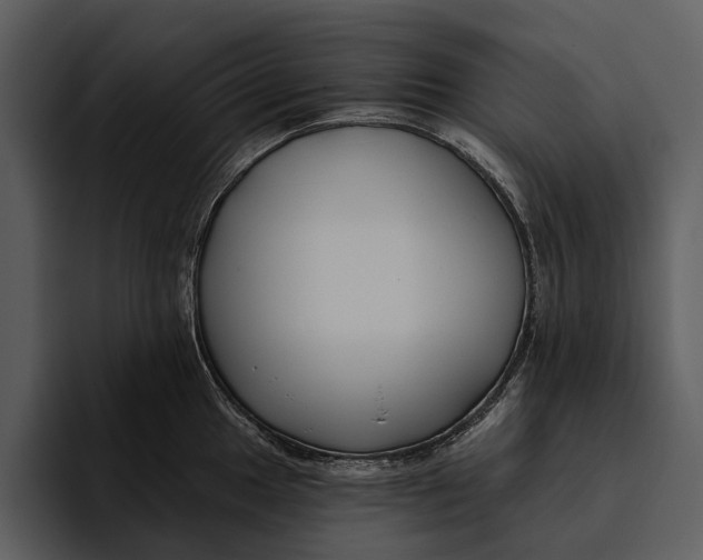 X0000095681049200801291153