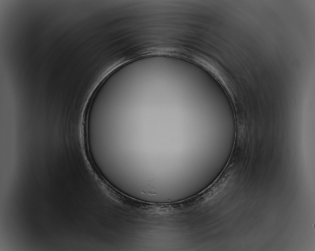 X0000095681050200801291153