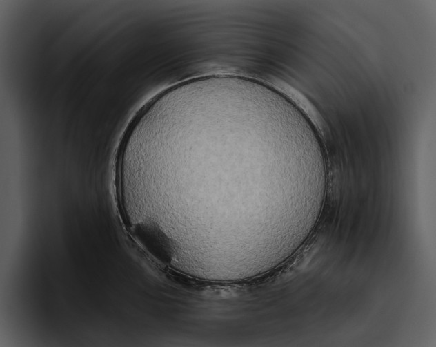 X0000095681051200801291153