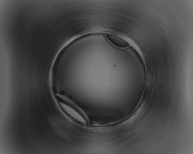 X0000095681053200801291153