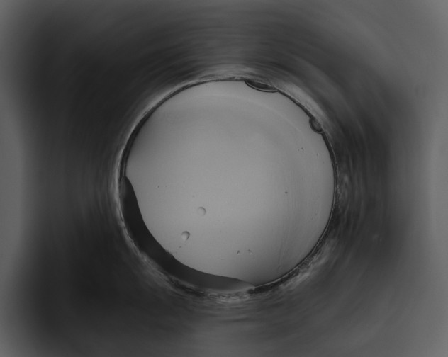 X0000095681055200801291153