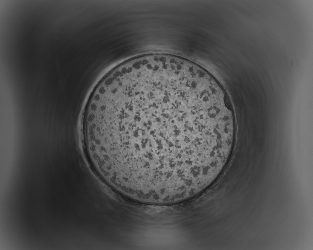 X0000095681056200801291153