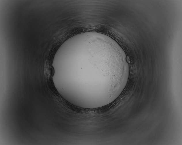 X0000095681058200801291152