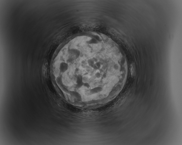 X0000095681059200801291152