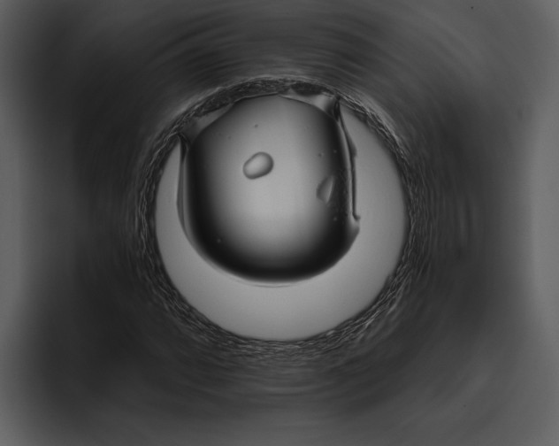 X0000095681064200801291152