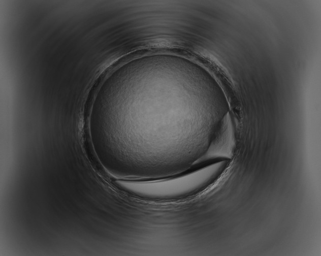 X0000095681065200801291152