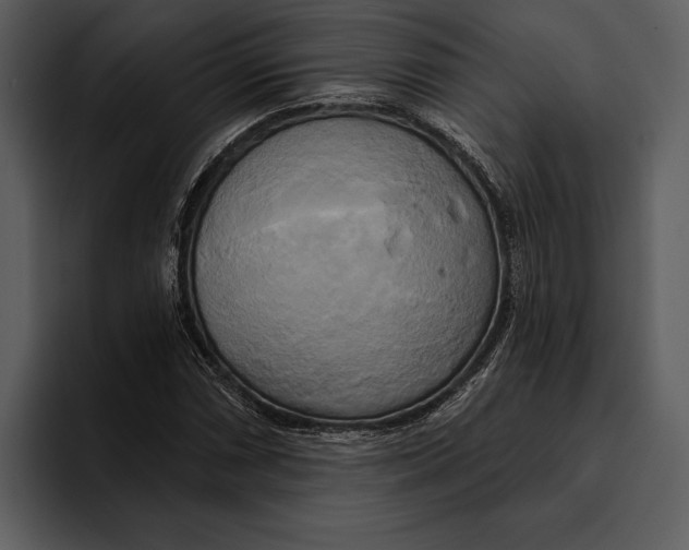 X0000095681066200801291152