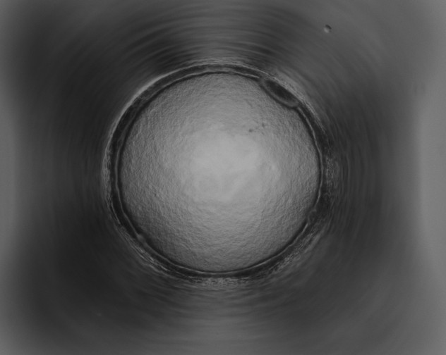 X0000095681068200801291152