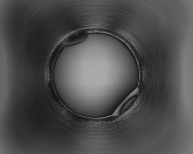 X0000095681069200801291152