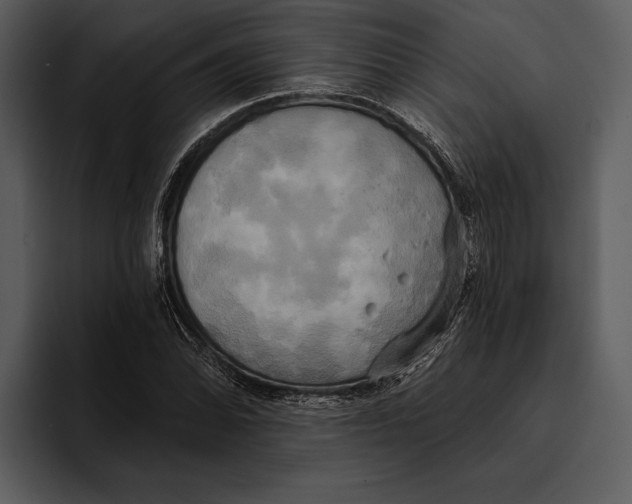 X0000095681070200801291152