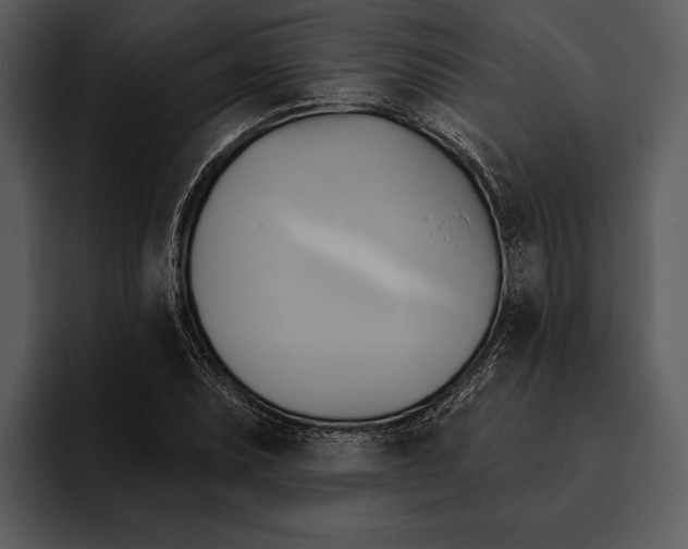 X0000095681071200801291152