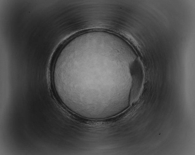 X0000095681072200801291152