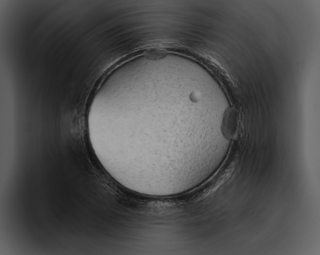 X0000095681073200801291152