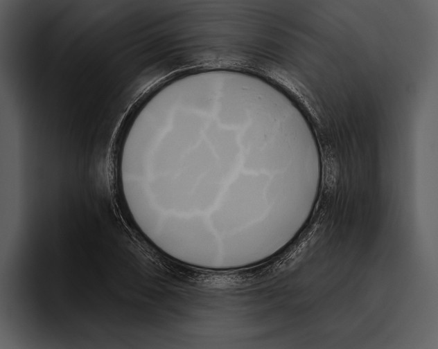 X0000095681074200801291152