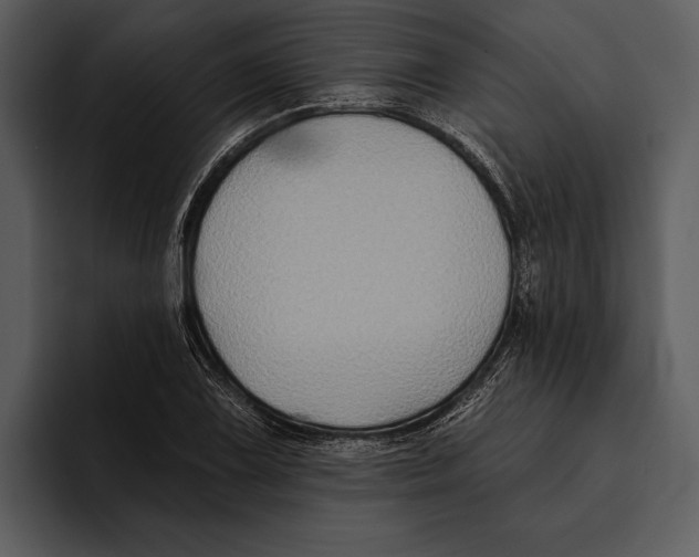 X0000095681075200801291152