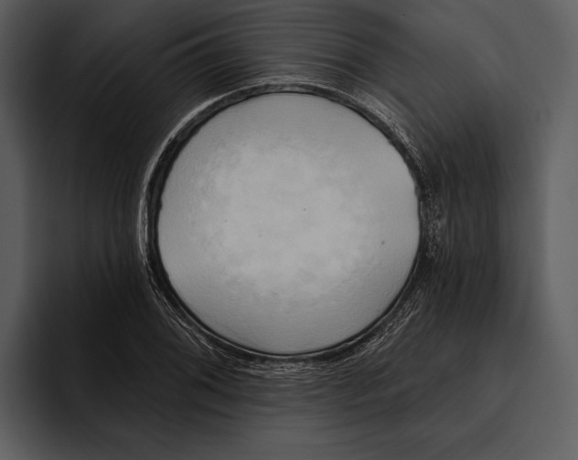 X0000095681076200801291152