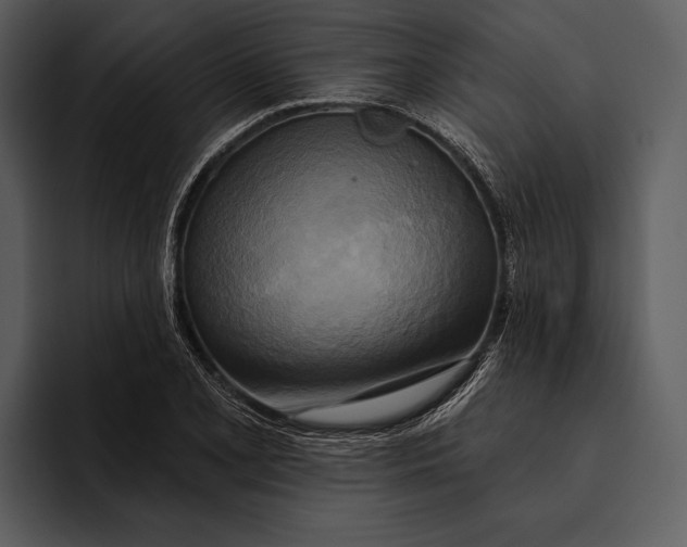 X0000095681077200801291152