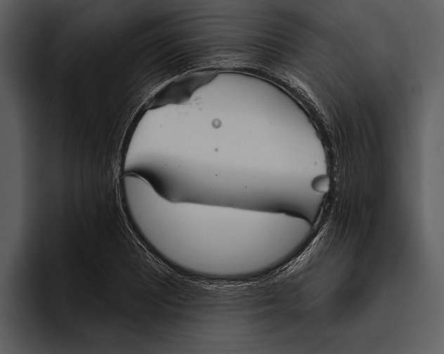 X0000095681081200801291152