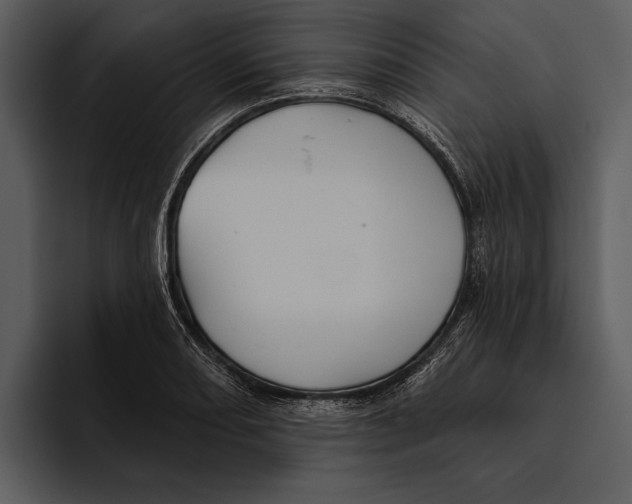 X0000095681082200801291152