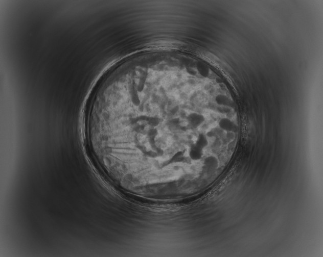 X0000095681083200801291152