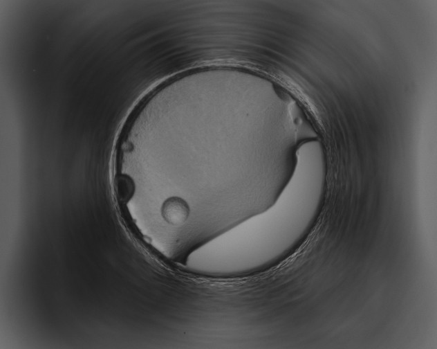 X0000095681084200801291152