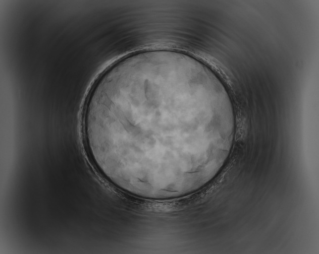 X0000095681086200801291152