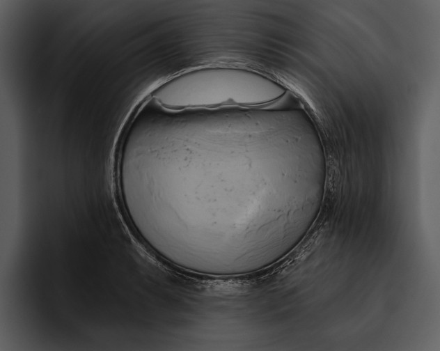 X0000095681087200801291152