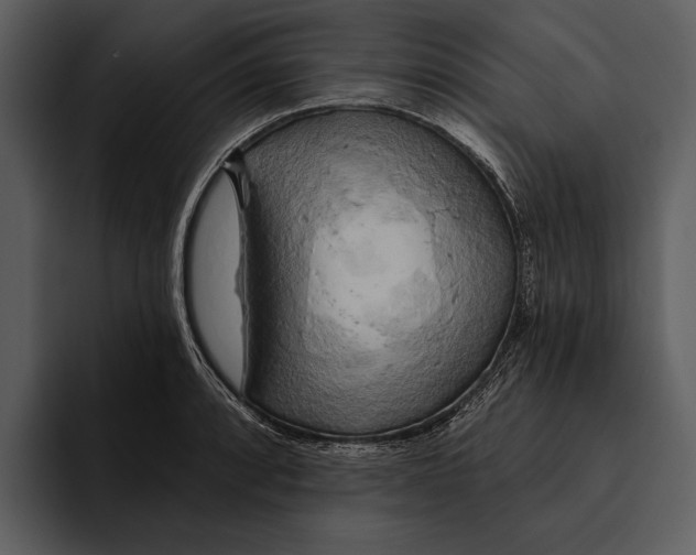 X0000095681088200801291152