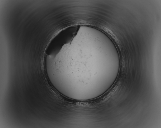 X0000095681089200801291152