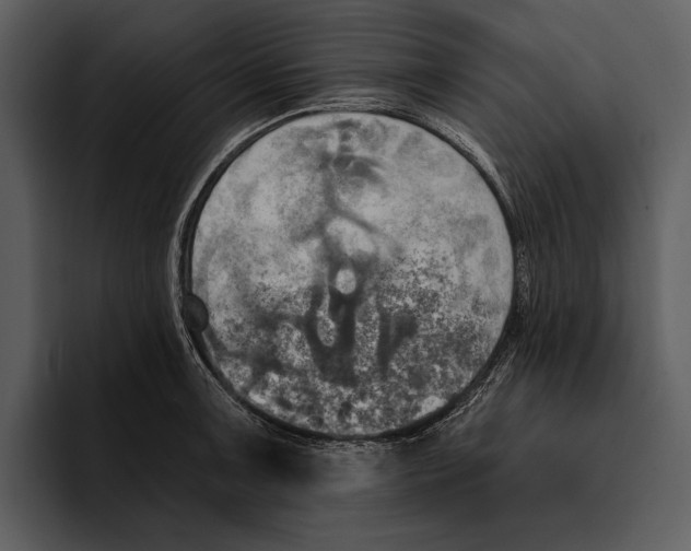 X0000095681091200801291152