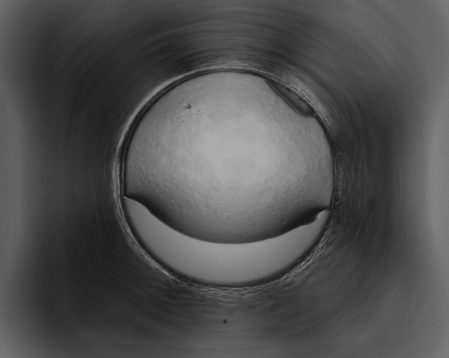 X0000095681092200801291152