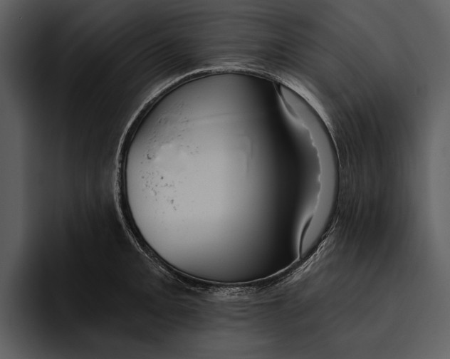 X0000095681093200801291152