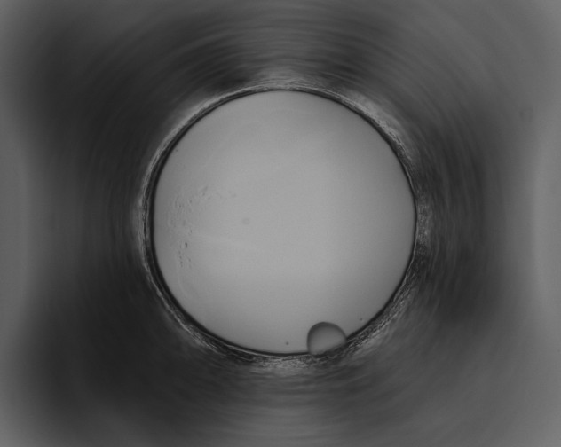 X0000095681094200801291152