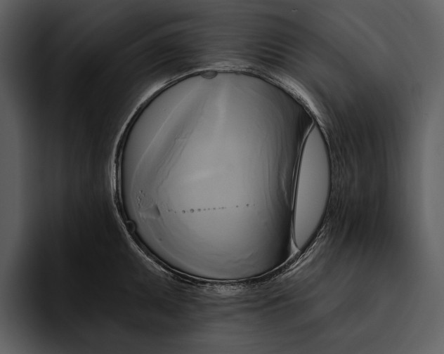 X0000095681095200801291152