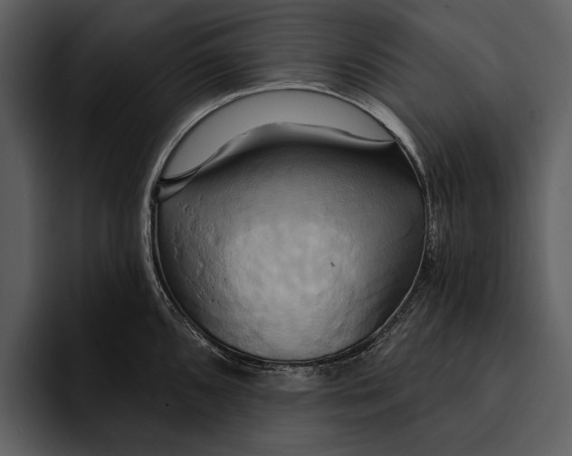 X0000095681096200801291152