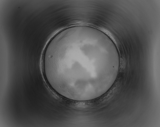 X0000095681098200801291152