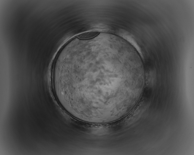 X0000095681099200801291152