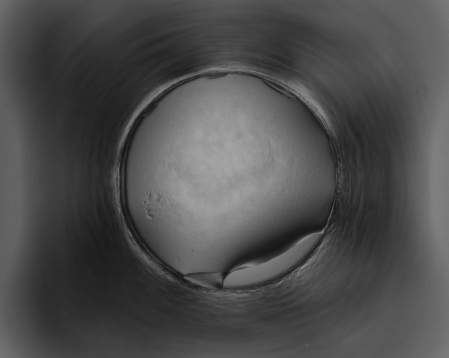 X0000095681100200801291152