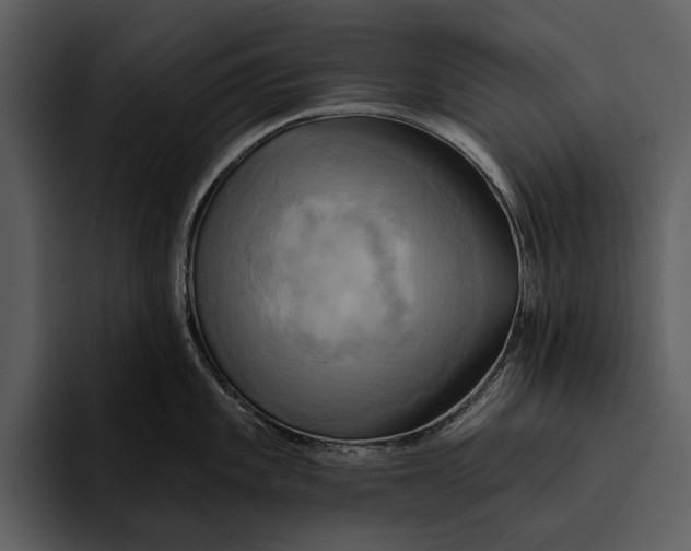 X0000095681101200801291152