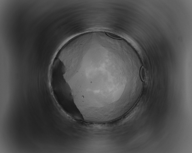 X0000095681102200801291152