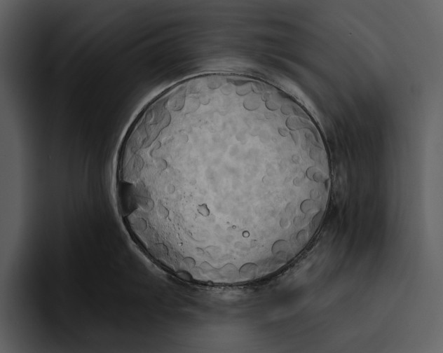 X0000095681103200801291152