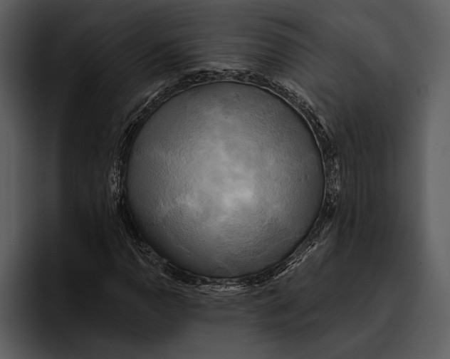 X0000095681110200801291151