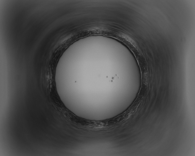 X0000095681111200801291151