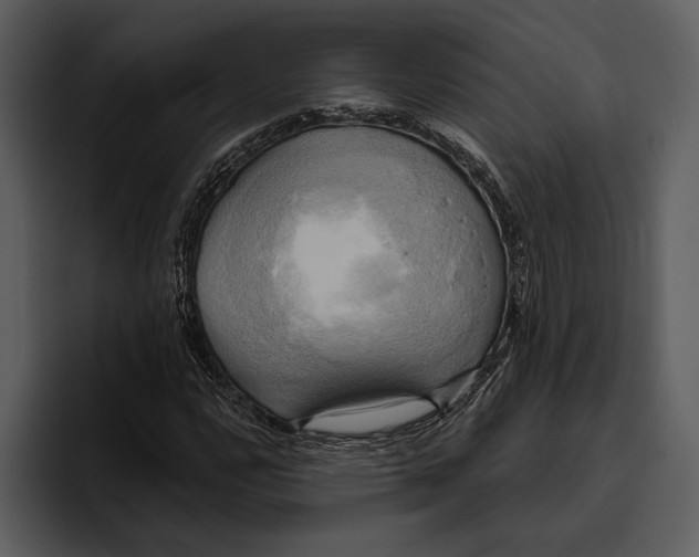 X0000095681112200801291151