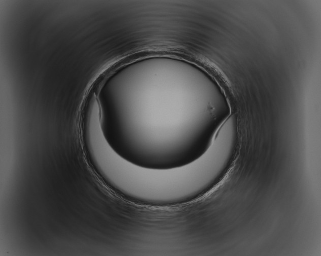 X0000095681114200801291151